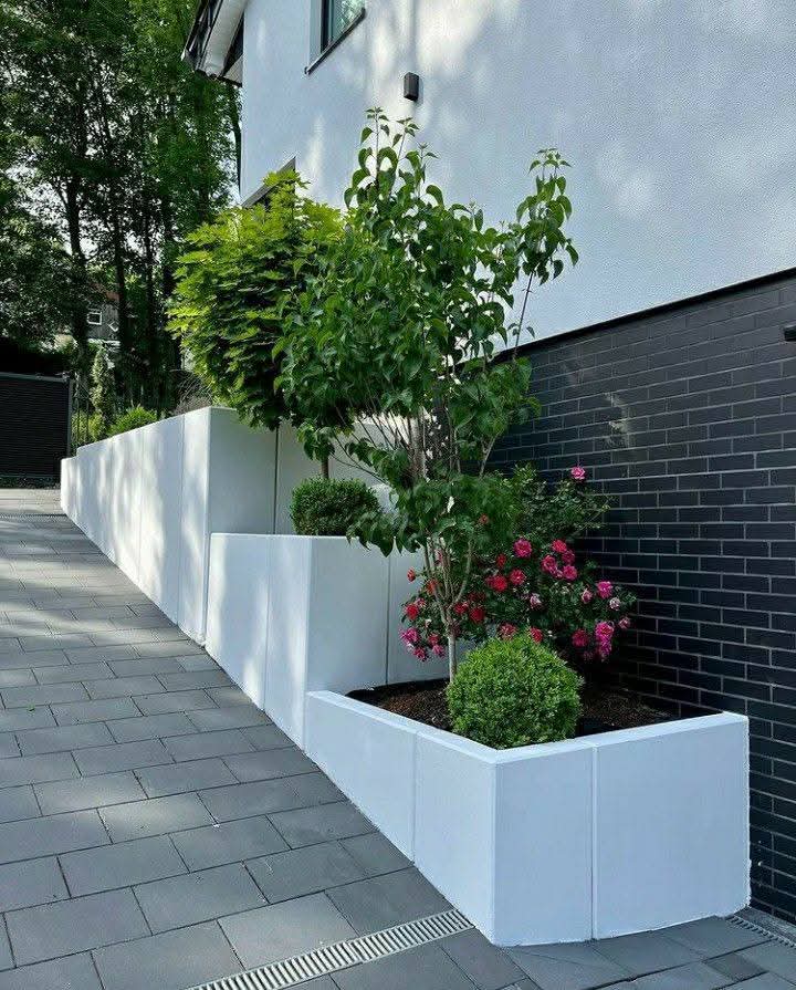 صورة المشروع 4