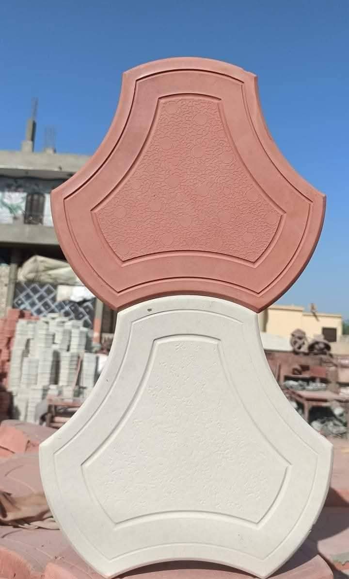 صورة المشروع 5